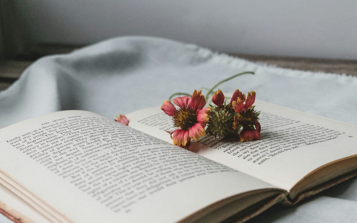 Libro Una mañana con la Stupa